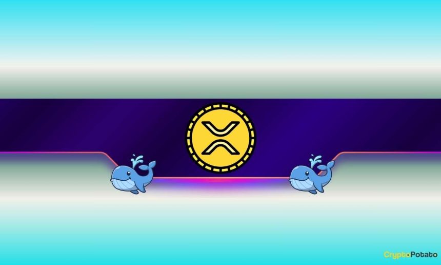 460,000,000 XRP Moved in 4 Days: Bull Trap or Breakout?