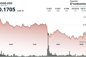 Dogecoin Plunges 8% as Price Action Points to Bounces