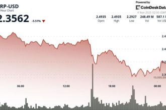 Ripple Falls 6%, Watch This Price Level For Further Breakdown