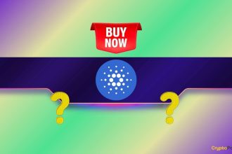 Cardano (ADA) Plunges by 8% Daily but This Important Indicator Flashes the Buy Signal