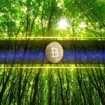 Bitcoin Price Pushes Above $80,000 for First Time Since January