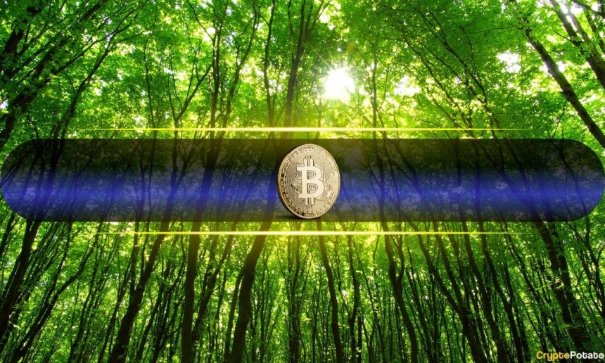Bitcoin Price Pushes Above $80,000 for First Time Since January