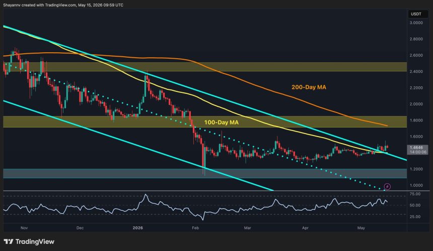 XRP Momentum Shifts Bullish Against Both USD and BTC