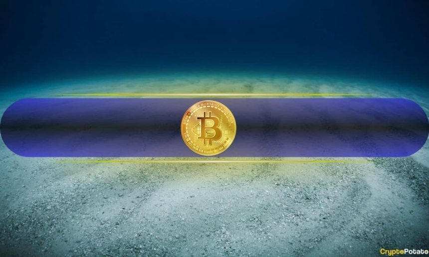 Bitcoin Nearing a Bottom? Key Indicators Flash Mixed Signals After $59K Drop