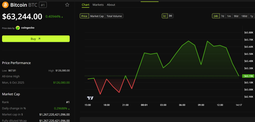 Bitcoin Price Performance