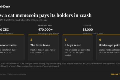 This cat memecoin has paid holders $2.8 million in Zcash as ZEC tops $1,200